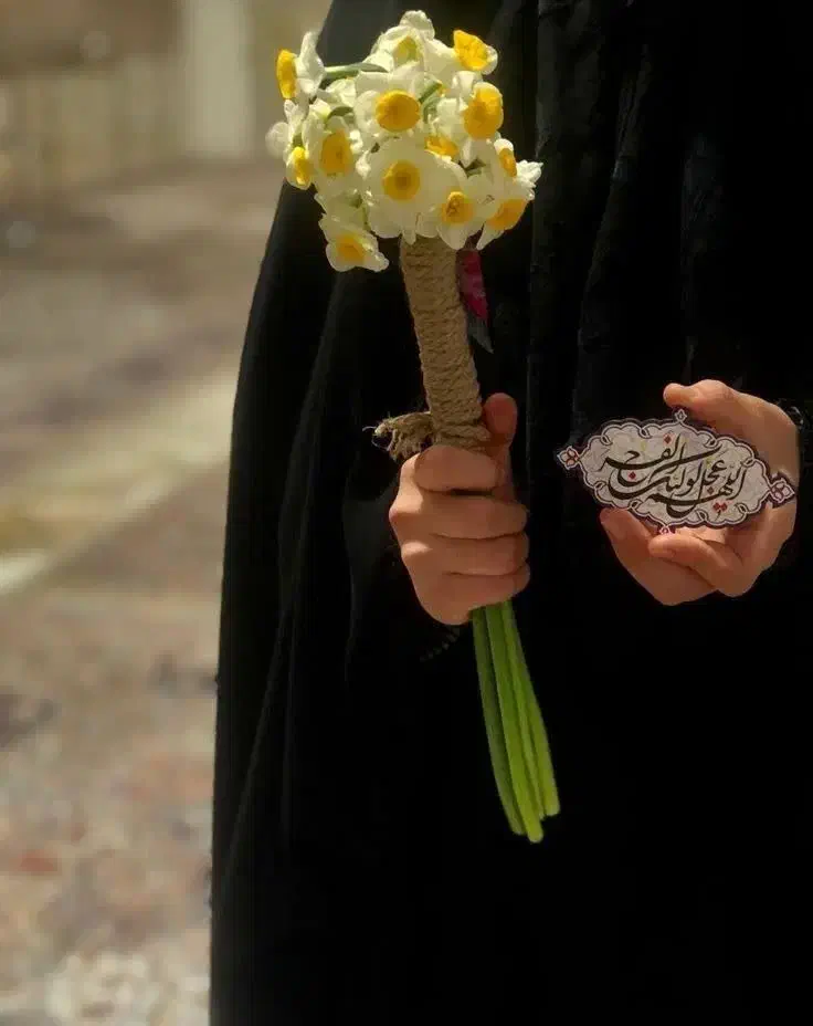 راهنمایی|فعالیت داوطلبانه تحقیقاتی|الشتر, |دیوار