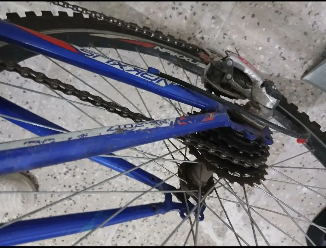 دوچرخه|دوچرخه، اسکیت، اسکوتر|شهر ری, فیروزآبادی|دیوار