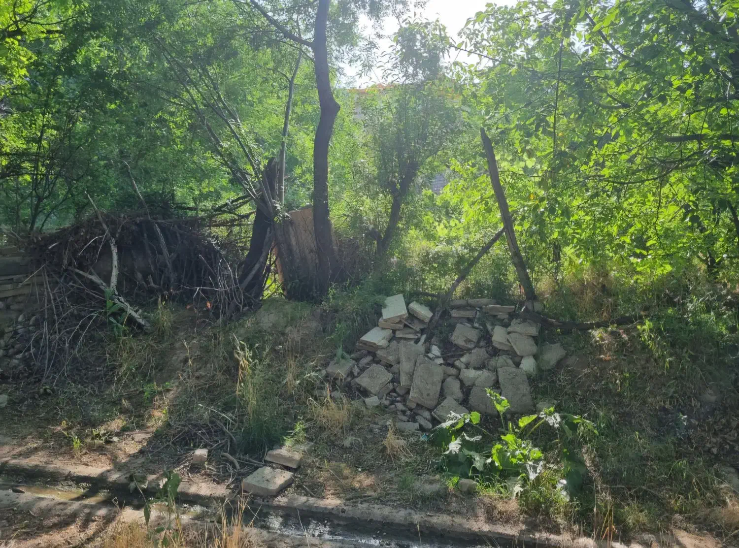 فروش باغ در روستای مزلقان|فروش زمین و ملک کلنگی|نوبران, |دیوار
