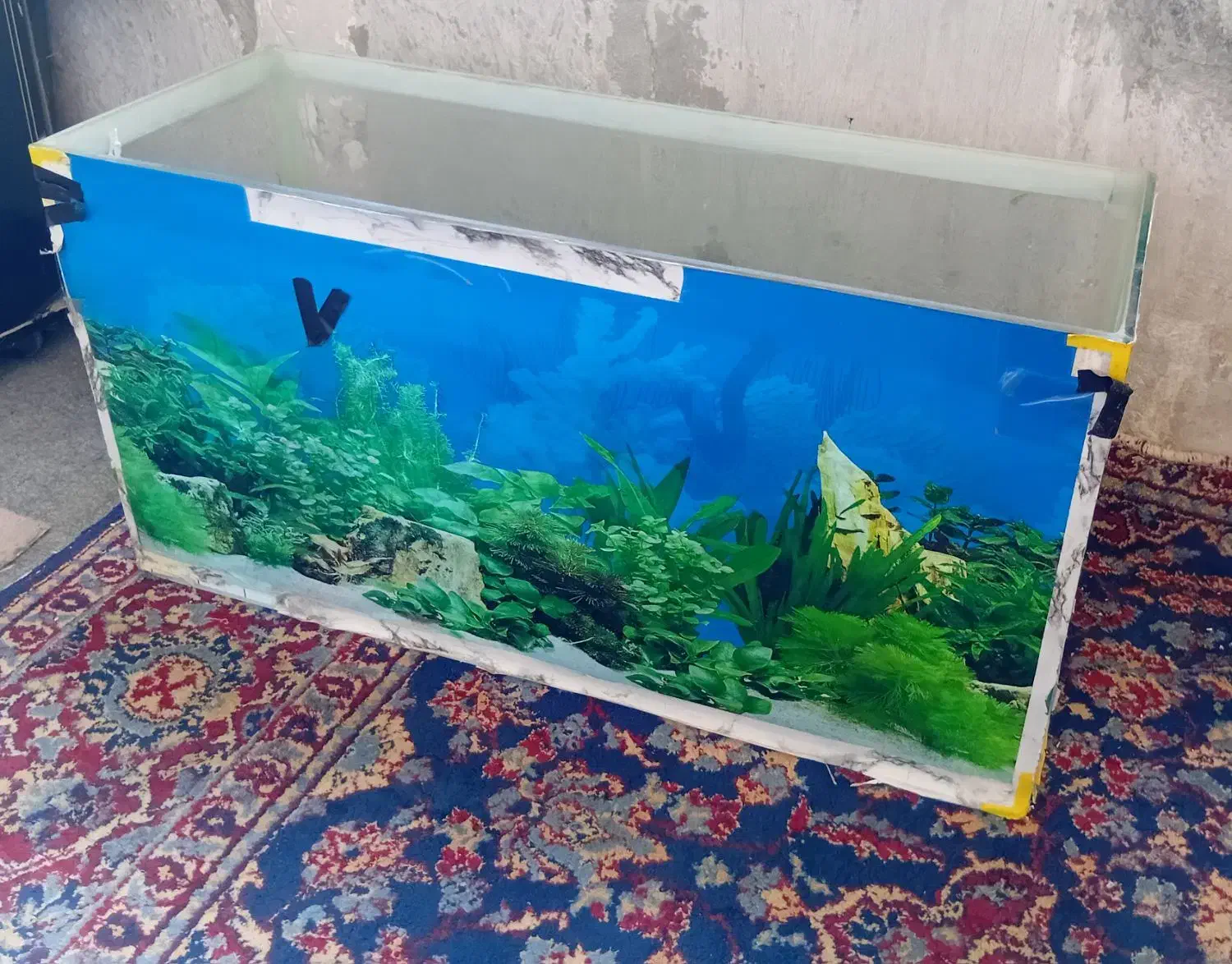 آکواریوم|ماهی|فولادشهر, B1|دیوار