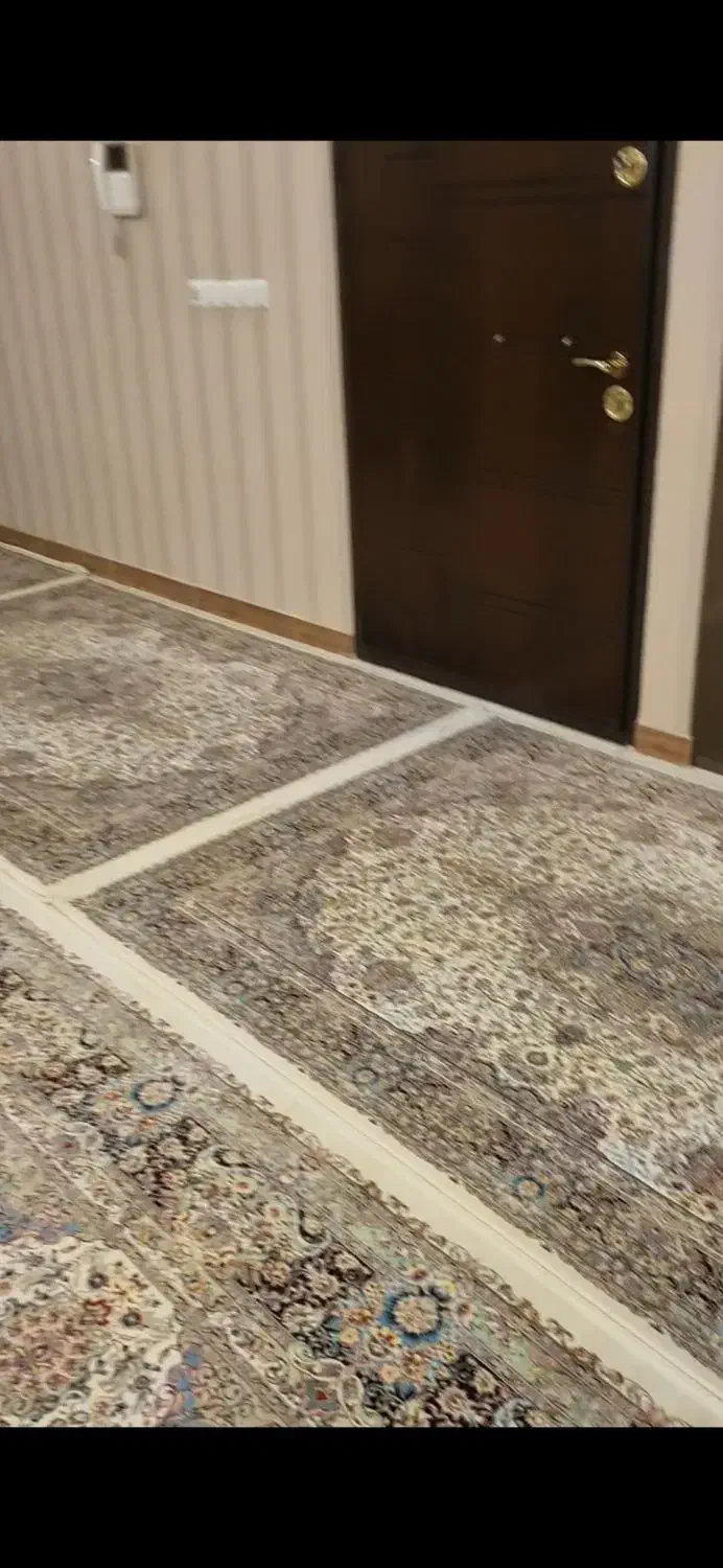 قالی سلیمان به تعداد ۶ تخته|فرش|زنجان, |دیوار