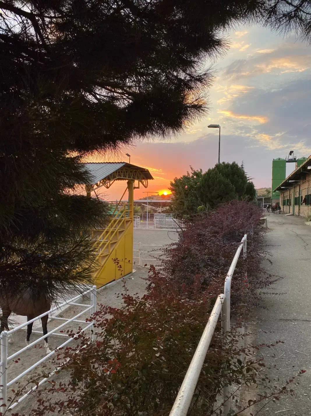 پانسیون و آموزش سوارکاری|اسب و تجهیزات اسب‌سواری|کوهسار (البرز), |دیوار