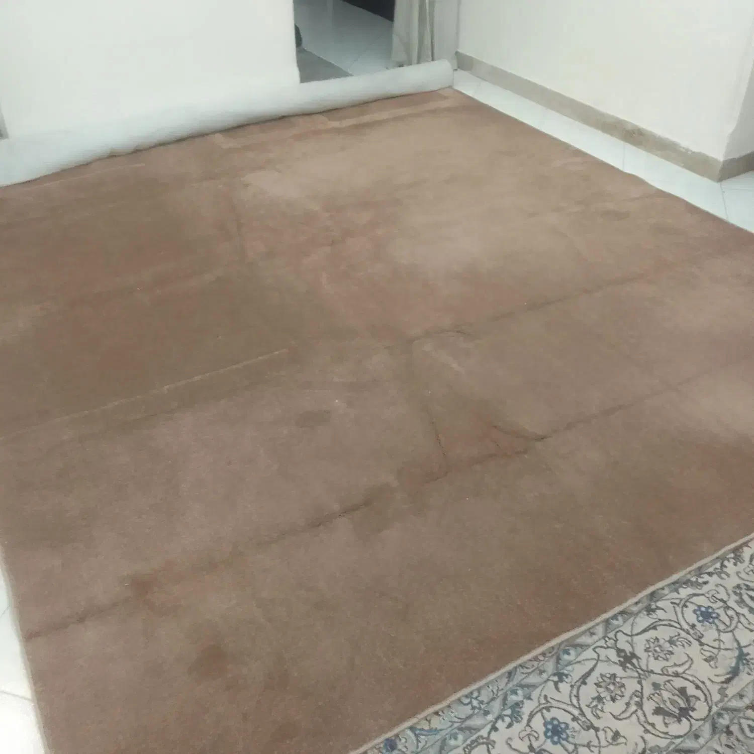 سلام موکت فروشی|موکت|تهران, قلهک|دیوار