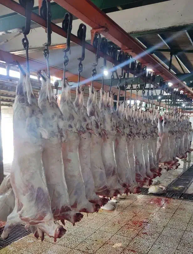 استخدام نیرو سلاخ|استخدام صنعتی، فنی، مهندسی|خرم‌آباد, |دیوار