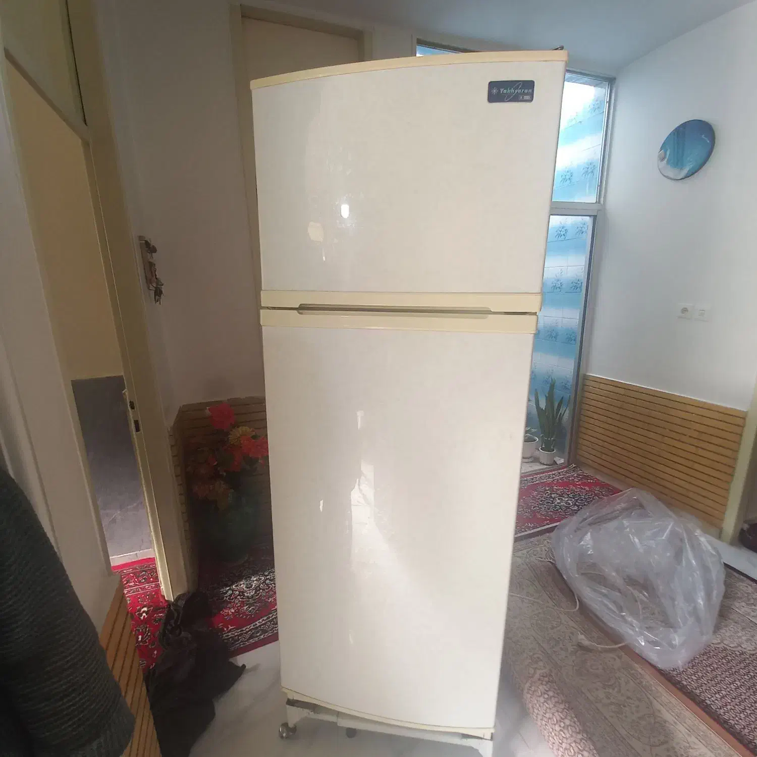 یخچال وفریزر|یخچال و فریزر|شازند, |دیوار