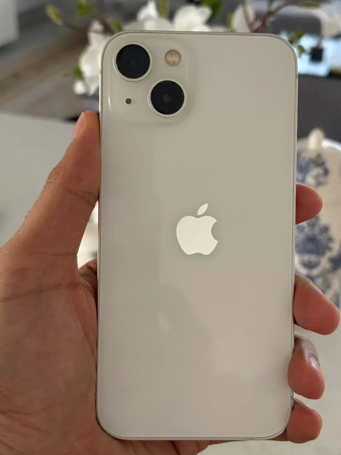 آیفون ۱۳ نرمال ۱۲۸|موبایل|یزد, |دیوار