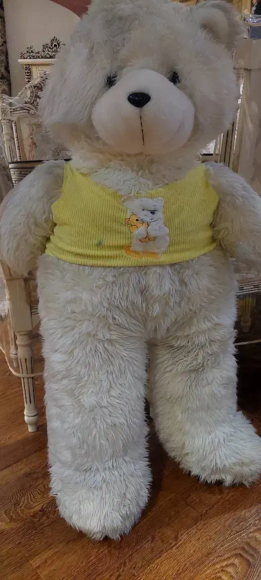 عروسک پشمی|اسباب‌‌بازی|دماوند, گیلاوند|دیوار