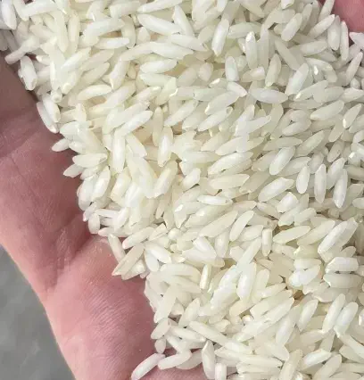 برنج عنبربو / عنبر بو کامفیروزی با عطر و طعم عالی|خوردنی و آشامیدنی|شیراز, داریون|دیوار