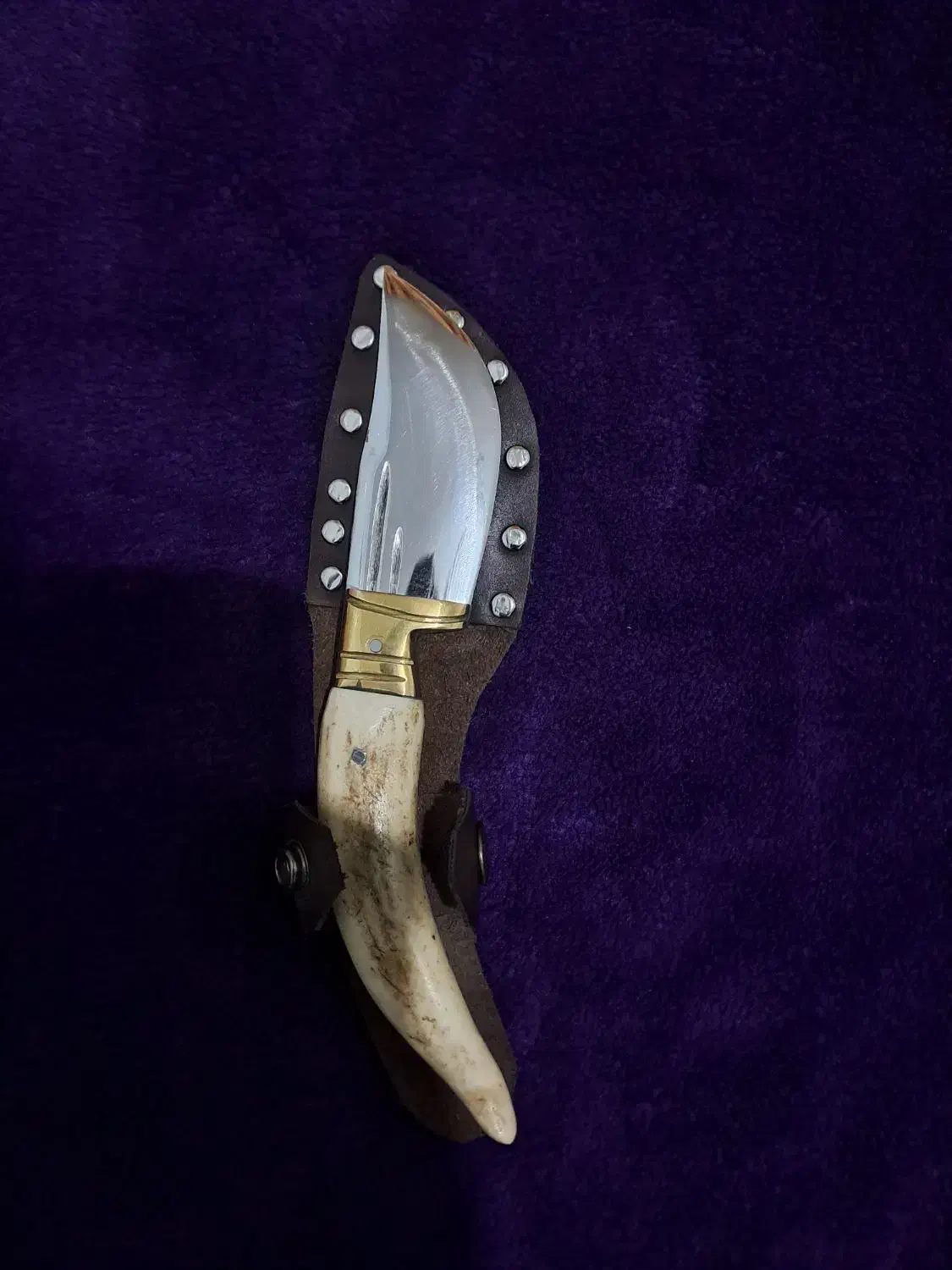 چاقو دسته شاخ|کوهنوردی و کمپینگ|گرگان, |دیوار