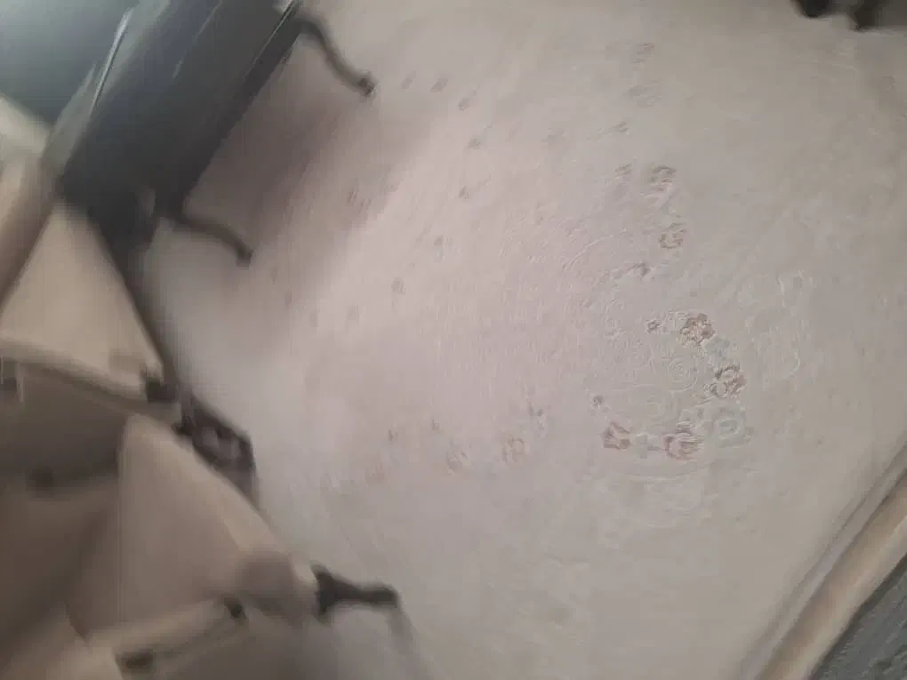 دو عدد فروش سالم وشست شده تمیز 9متری|فرش|محمدشهر, شهرک پیام (مهرالبرز)|دیوار