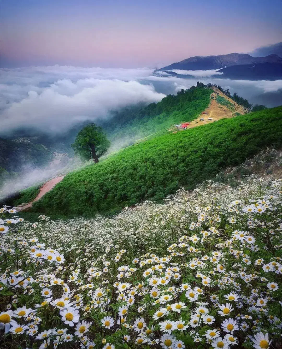 راهنمایی سفر|فعالیت داوطلبانه|اهواز, زیتون کارمندی|دیوار
