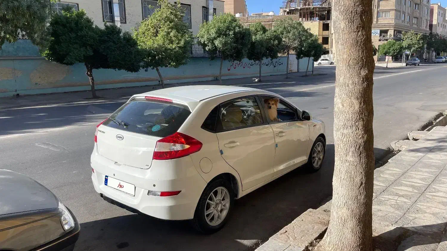 ام وی ام 315|خودرو سواری و وانت|شیراز, فرگاز|دیوار