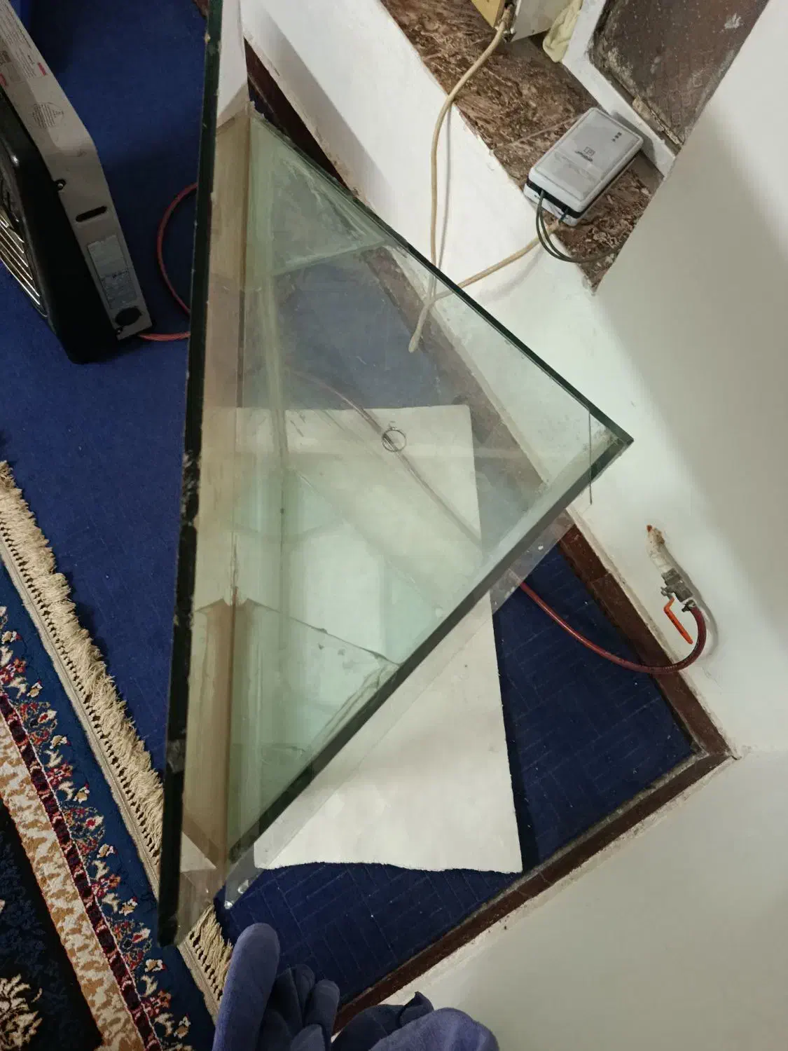 آکواریوم|ماهی|اهواز, امانیه|دیوار