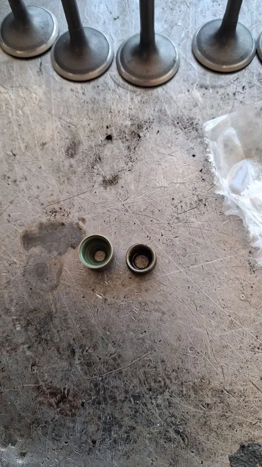 یک عدد لاستیک سوپاپ پیدا شده|اشیا|اصفهان, باغ فدک|دیوار