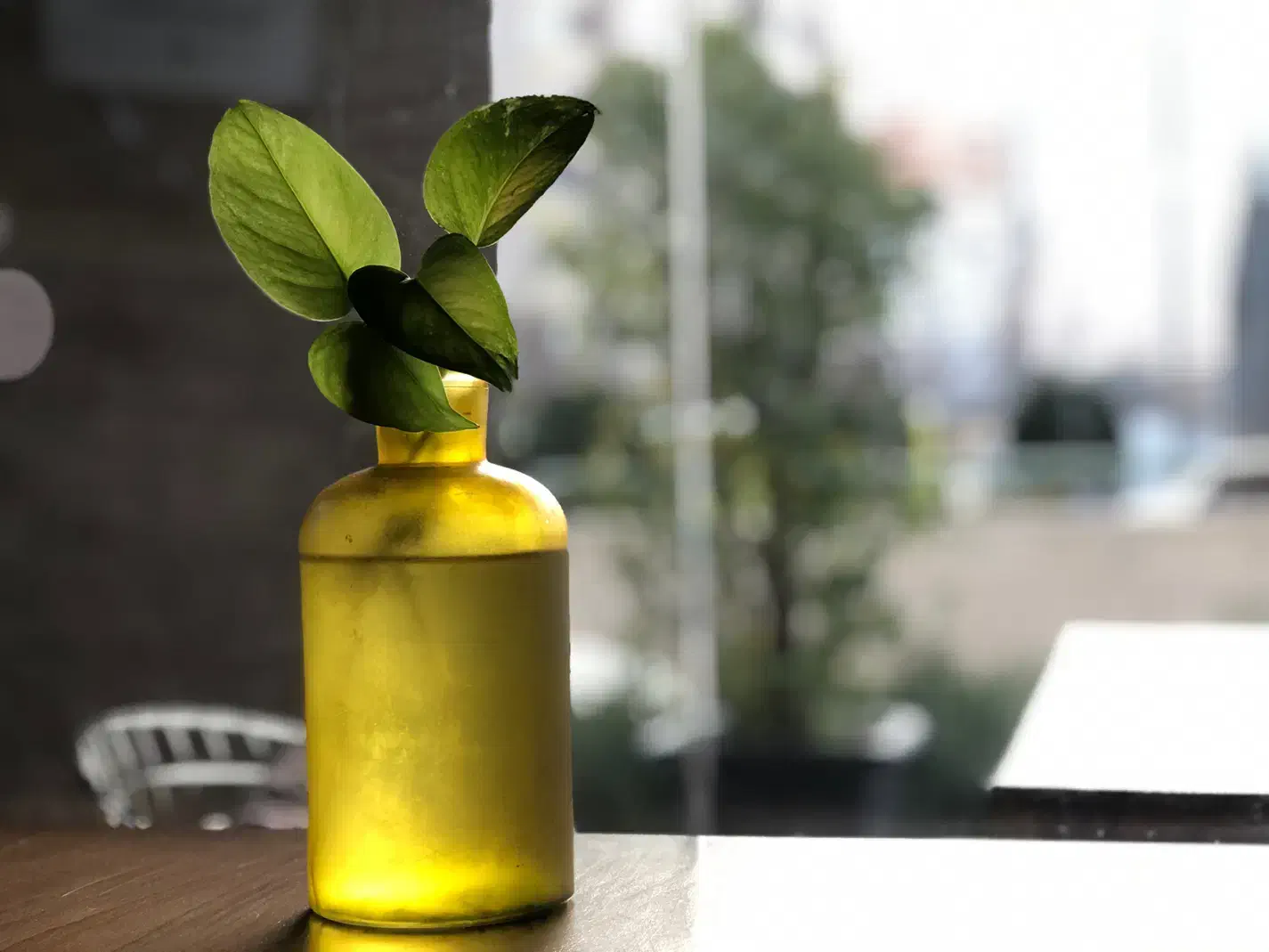 ادیت عکس و ویدیوهای شما|خدمات رایانهای و موبایل|شیراز, معالیآباد|دیوار