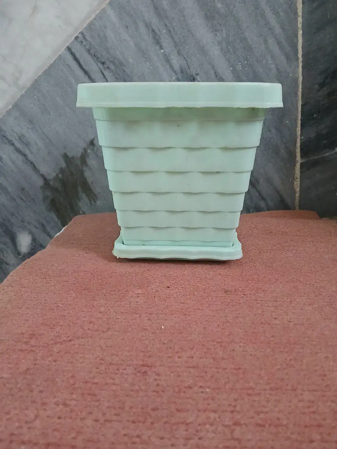 گلدان پلاستیکی|گل و گیاه طبیعی|قم, شاه ابراهیم|دیوار