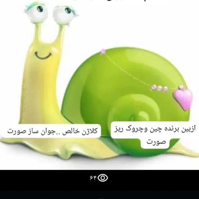 تخم حلزون موجوده|خزنده|دزفول, |دیوار