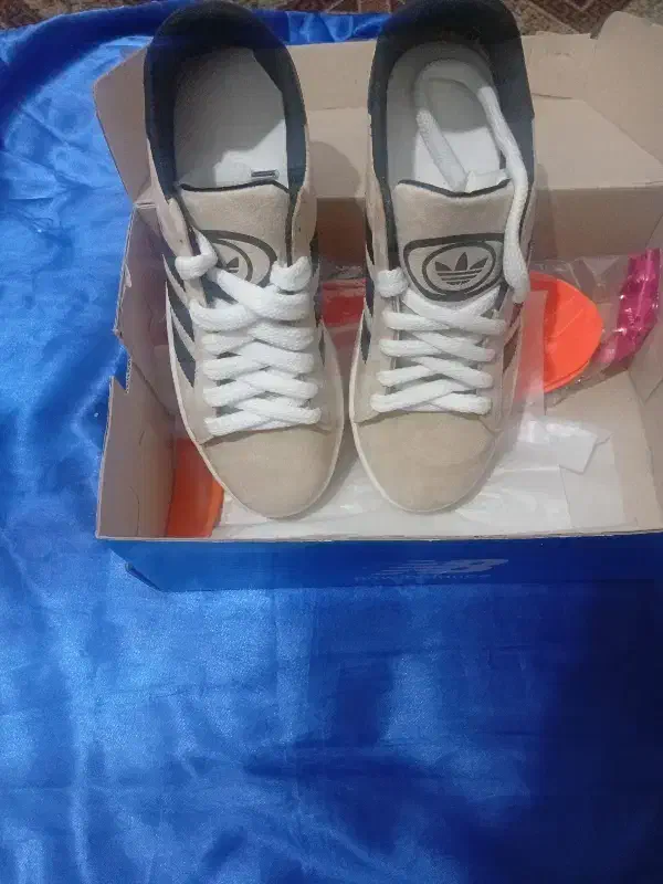 یک جفت کتونی آدیداس کامپوس|کیف، کفش، کمربند|حمیدیا, |دیوار