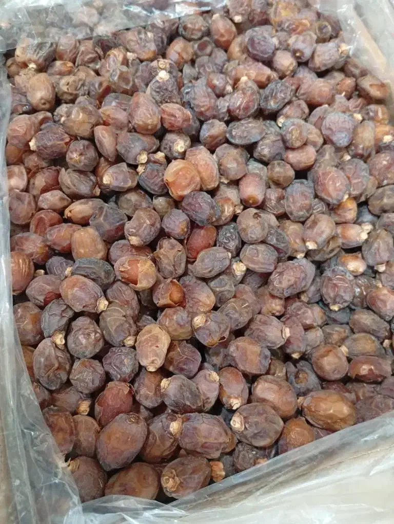 خرمای خاصویی درجه یک بدون شهد بصورت عمده|خوردنی و آشامیدنی|تهران, سلسبیل جنوبی|دیوار