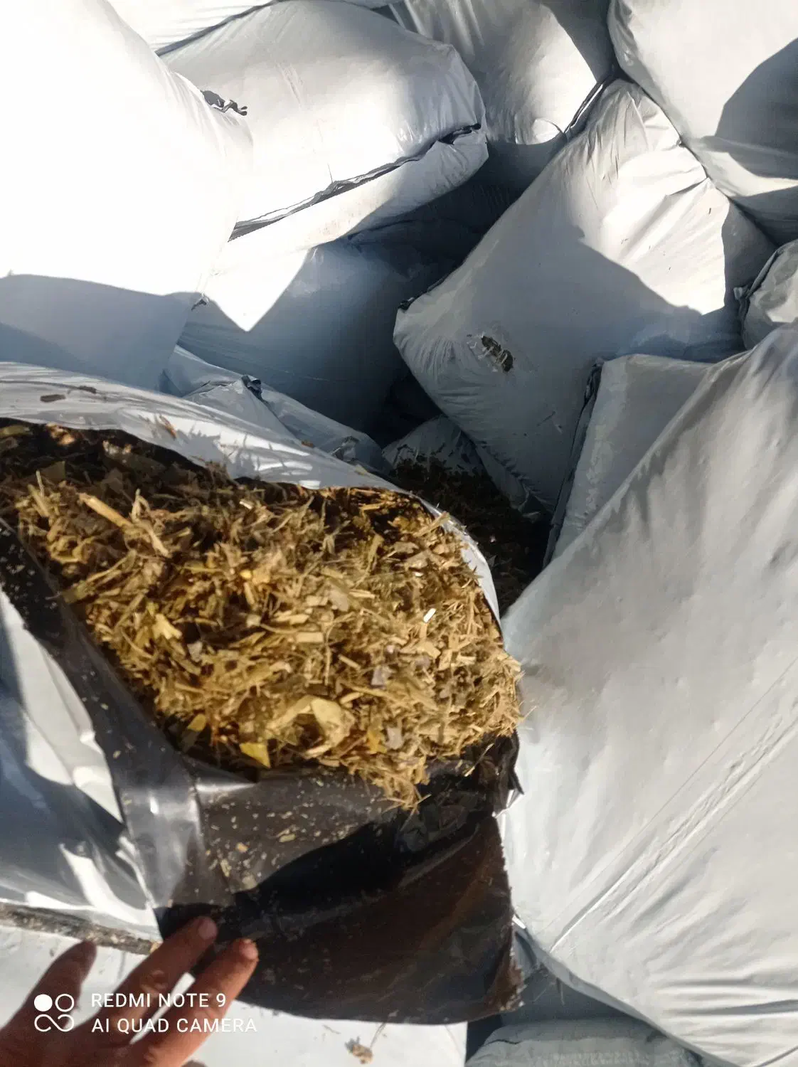 انواع خوراک دام|لوازم جانبی حیوانات|امیدیه, |دیوار