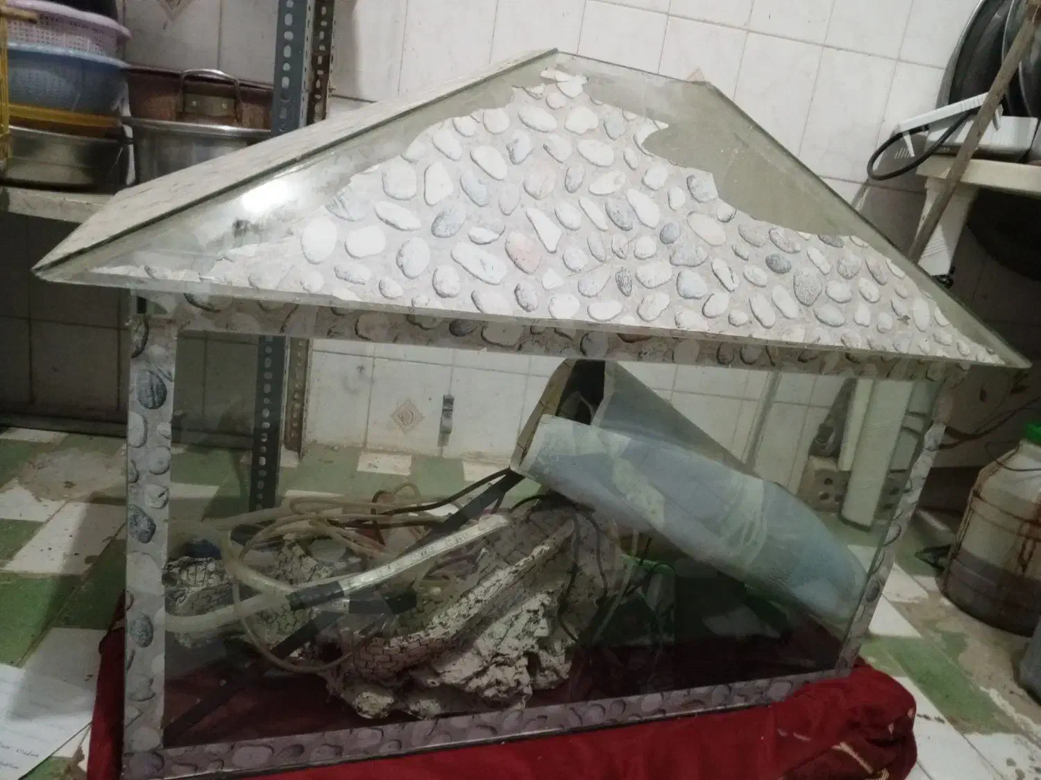 آکواریوم|ماهی|سوسنگرد, |دیوار