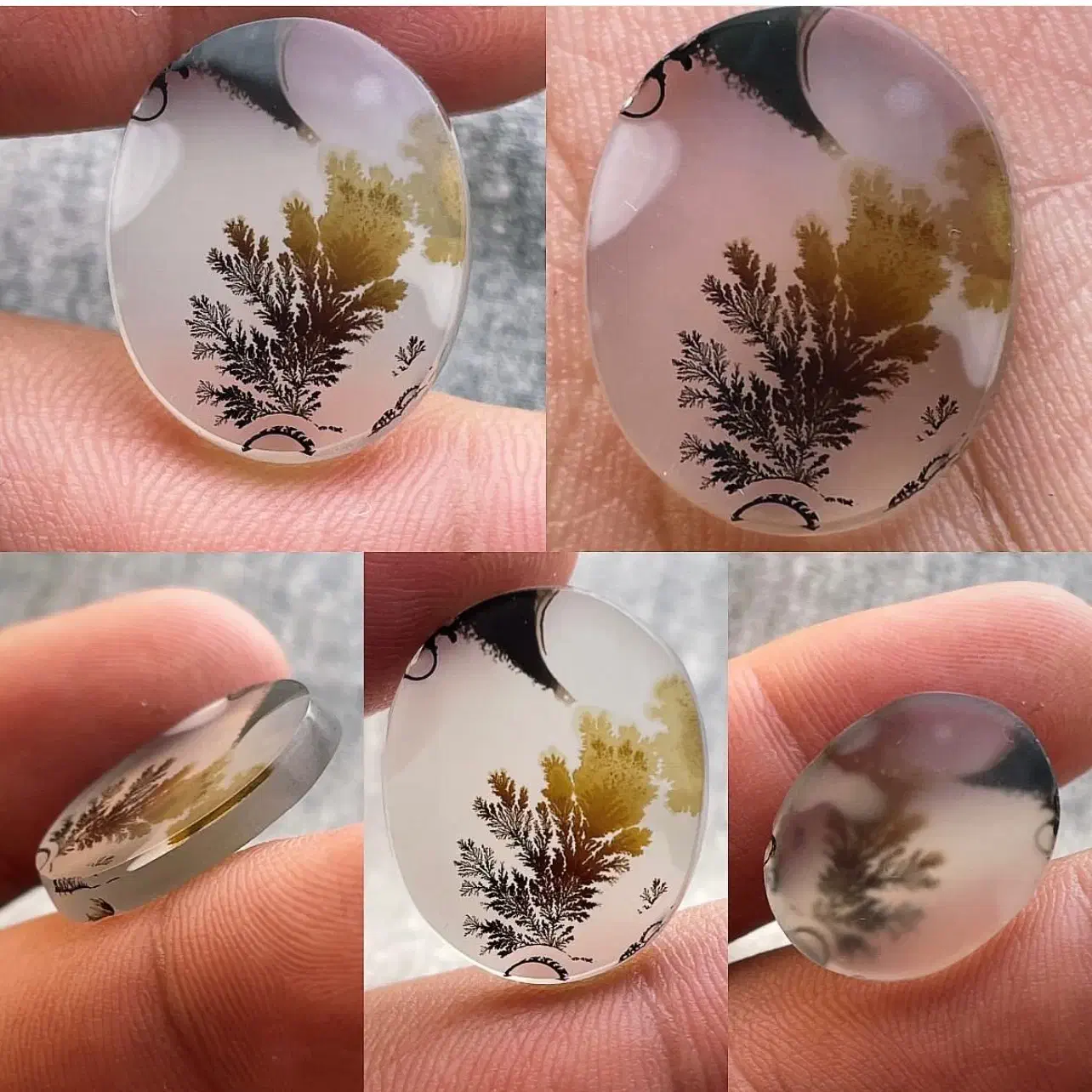 شجر قاین کلکسیونی|جواهرات|قائن, |دیوار