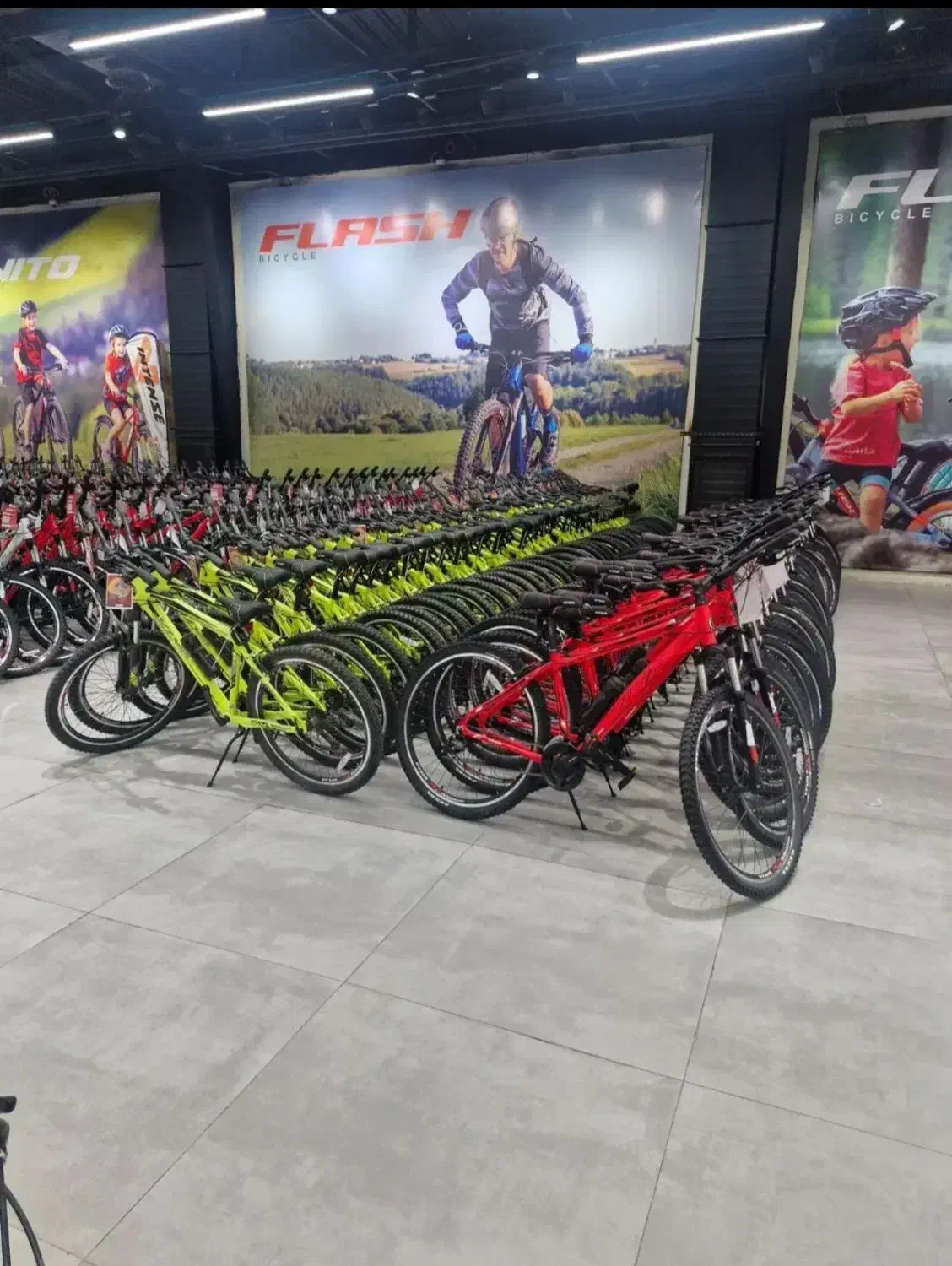 دوچرخه قدرتی اصل /بچه گانه، بزرگسال «اقساط|دوچرخه، اسکیت، اسکوتر|تهران, امیریه|دیوار