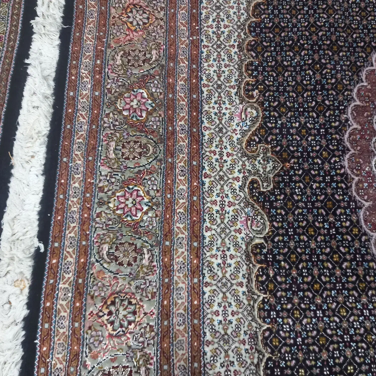 فرش کرم و سرمه ای|فرش|خوی, |دیوار