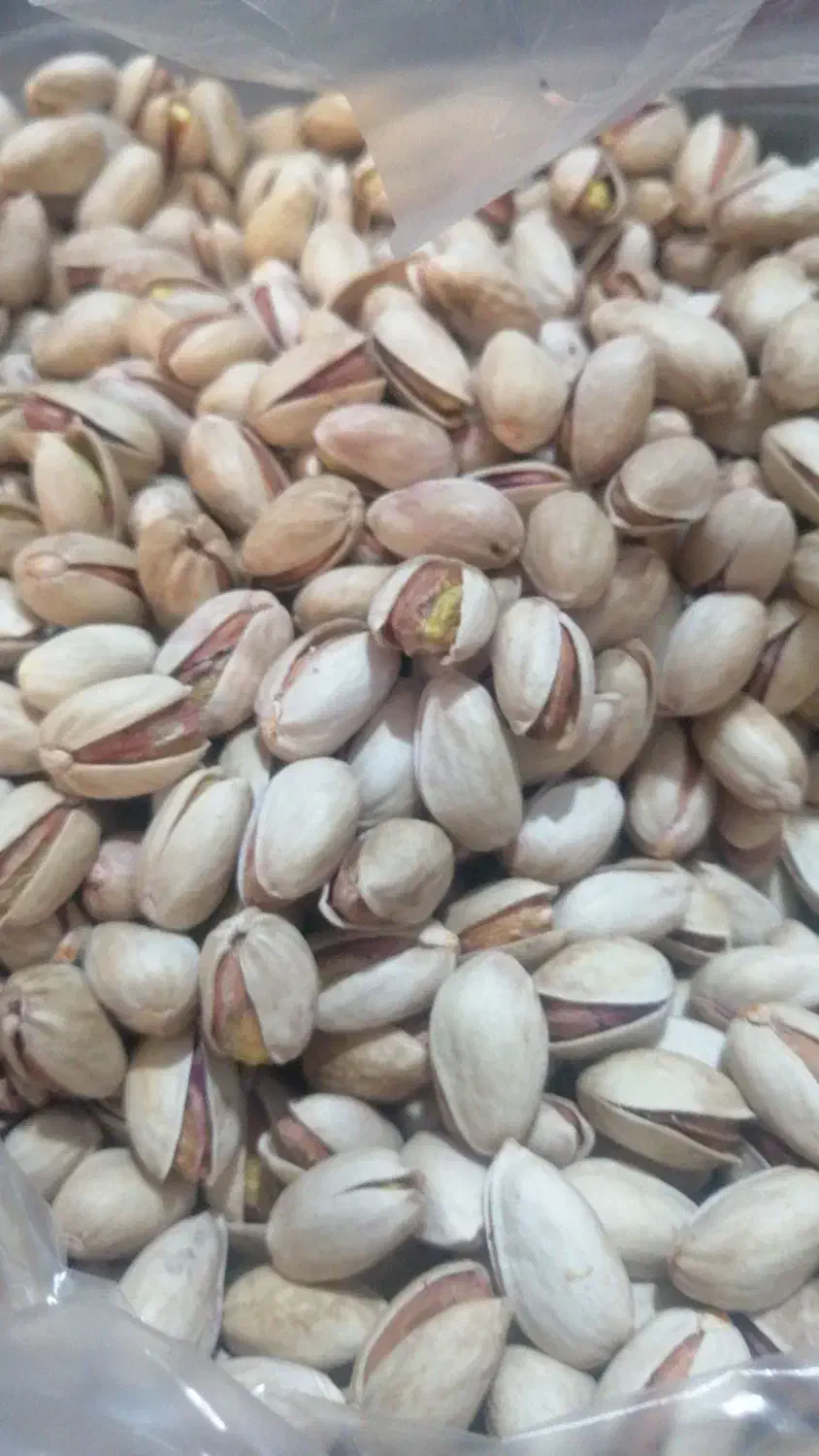 انواع مغزگلدارومغزکارگاهی|خوردنی و آشامیدنی|اسلامشهر, مظفریه|دیوار