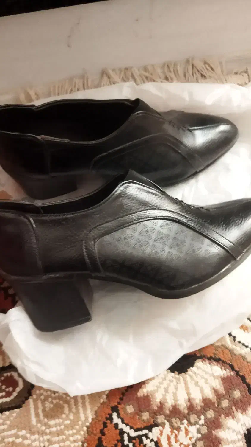 کفش|کیف، کفش، کمربند|بوشهر, |دیوار