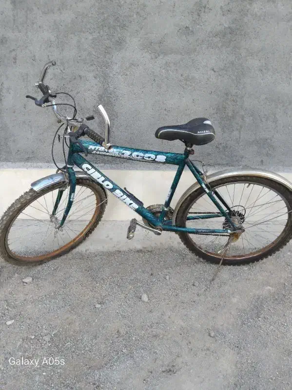 دوچرخه 26 دندیی|دوچرخه، اسکیت، اسکوتر|تربت‌حیدریه, ده پائین|دیوار