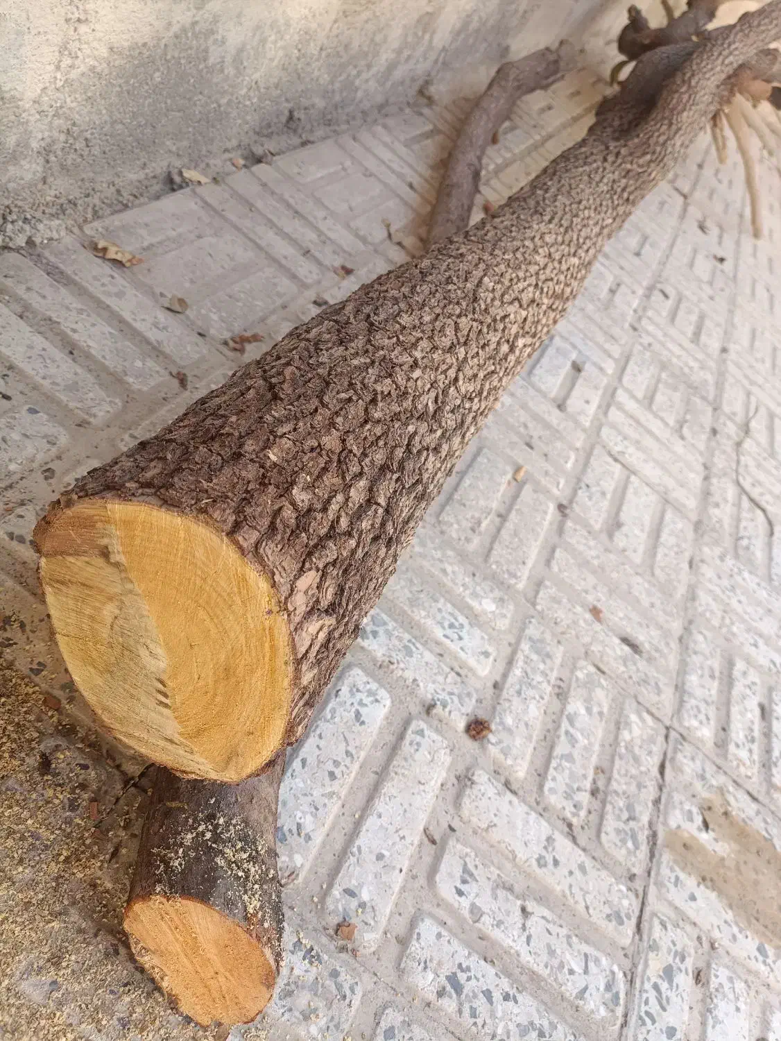 چوب خرمالو|صنایع دستی و سایر لوازم تزئینی|نجفآباد, گلدشت|دیوار