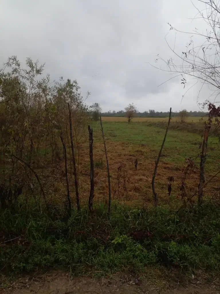 فروش زمین تک برگ سند  ۲۵۰ متر مسکونی جاده جیرده|فروش زمین و ملک کلنگی|شفت, |دیوار