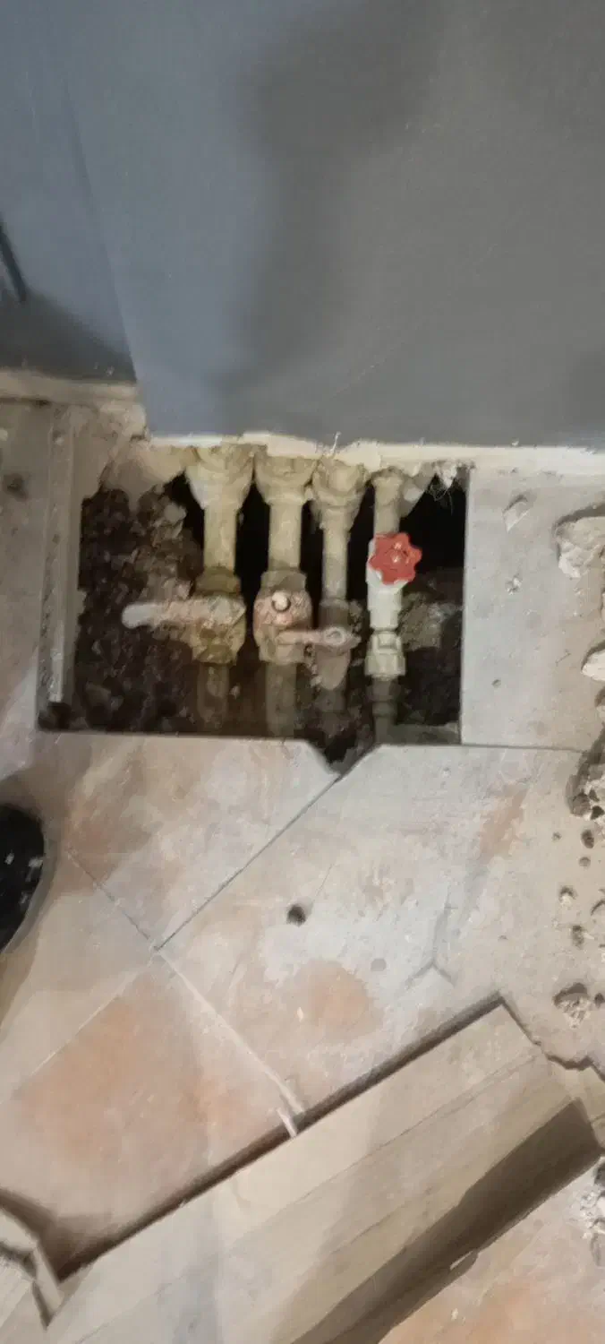 اجرا و بازسازی ساختمانی|خدمات پیشه و مهارت|پردیس, فاز ۲|دیوار