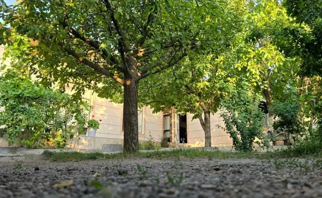 خانه مسکونی ویلایی|فروش خانه و ویلا|قره پشتلو, |دیوار