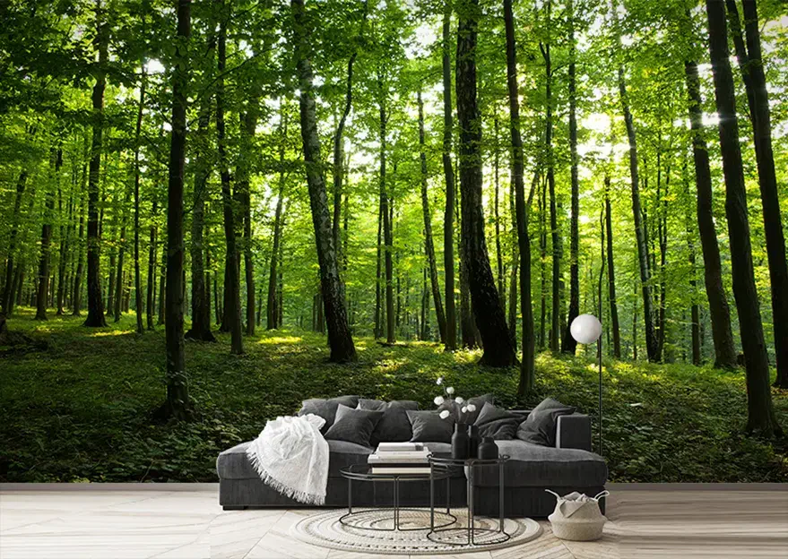 رنگ آمیزی ساختمان ونصب کاغذدیواری وپوسترسه بعدی|خدمات پیشه و مهارت|دهلران, |دیوار