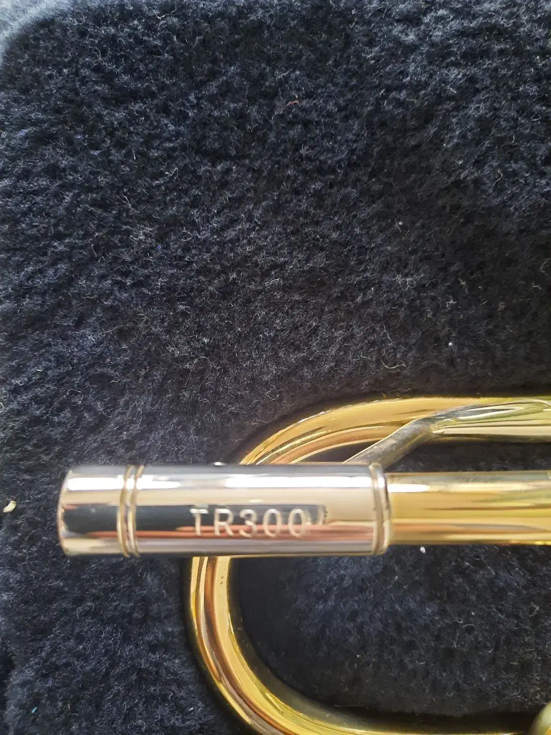 ترومپت باخ امریکا|سازهای بادی|برخوار, |دیوار