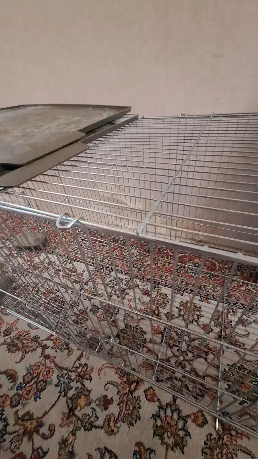 قفس پرنده خرگوش همستر جوجه مرغ سنجاب|لوازم جانبی حیوانات|تهران, افسریه جنوبی|دیوار