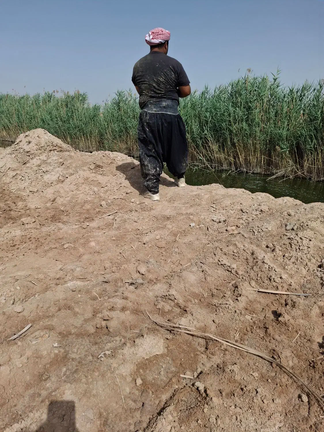 ماهی شانگ صید روز|خوردنی و آشامیدنی|کارون, |دیوار