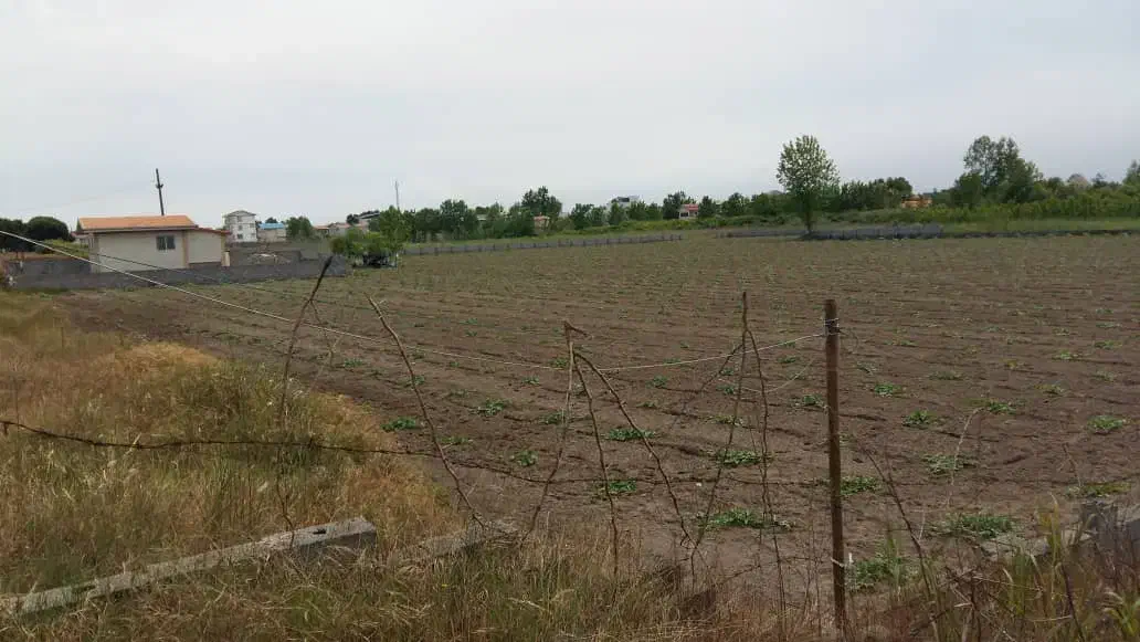 فروش زمین در لنگرود|فروش زمین و ملک کلنگی|رشت, چله خانه|دیوار