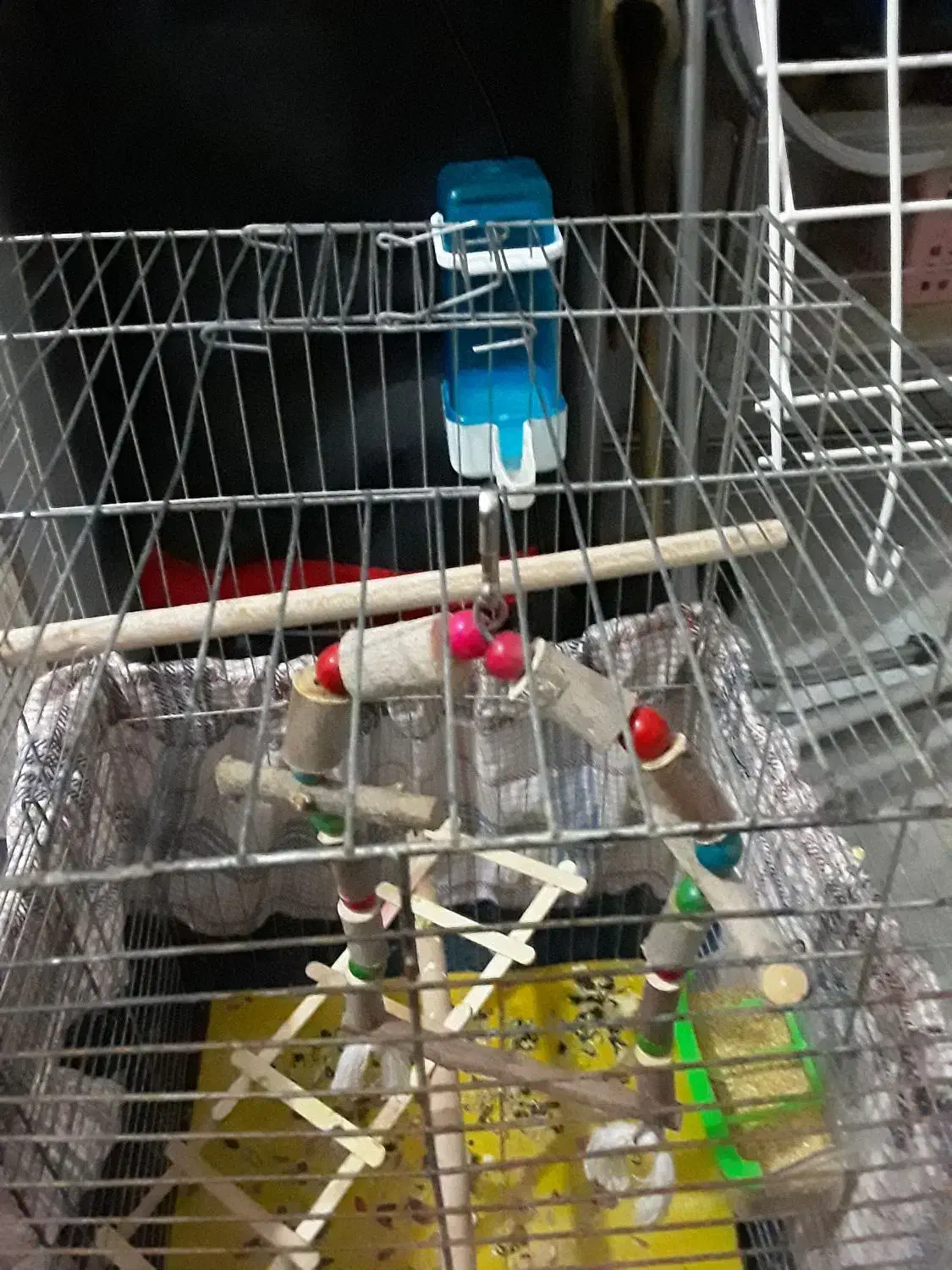 قفس پرنده|لوازم جانبی حیوانات|گرمسار, |دیوار