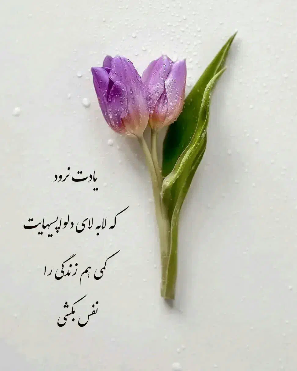 پیداشده|اشیا|نیشابور, مازول|دیوار