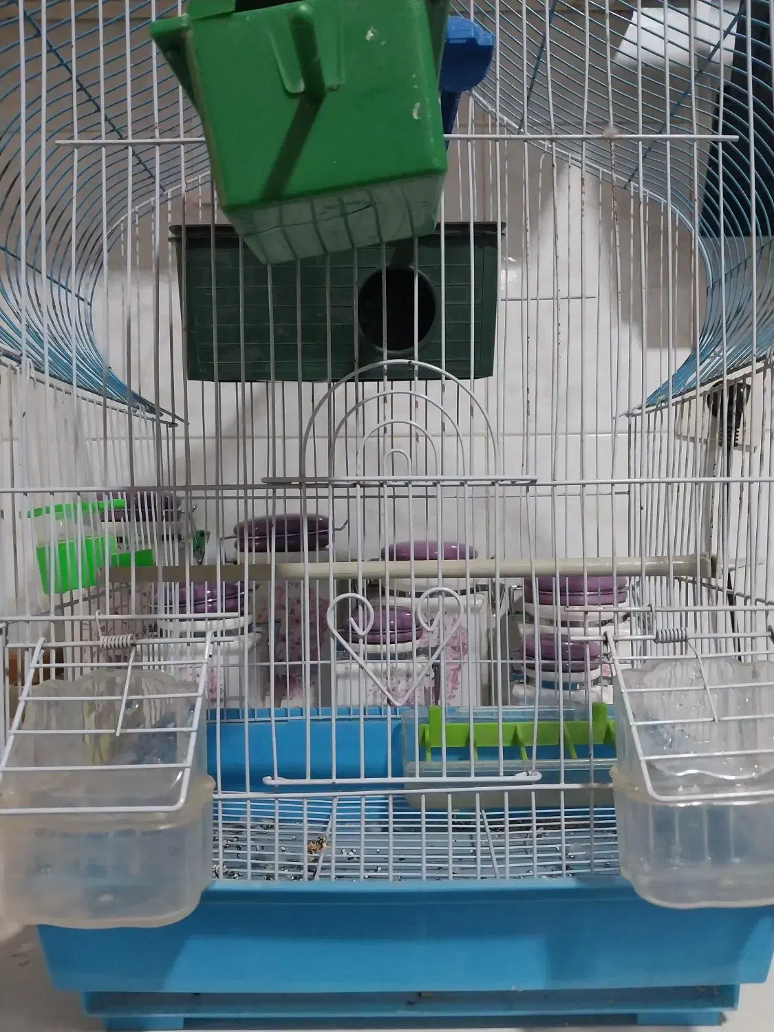 قفس|پرنده|اصفهان, آبشار|دیوار