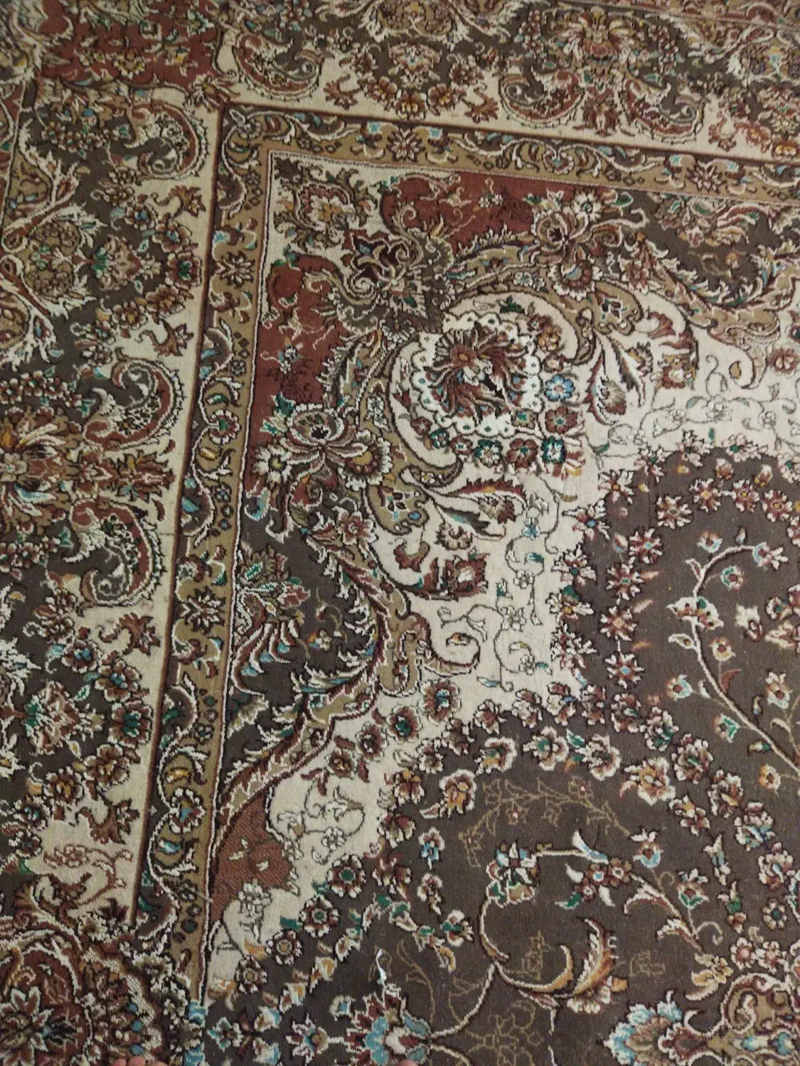 فرش دوازده متری|فرش|تربت‌حیدریه, ترمینال|دیوار