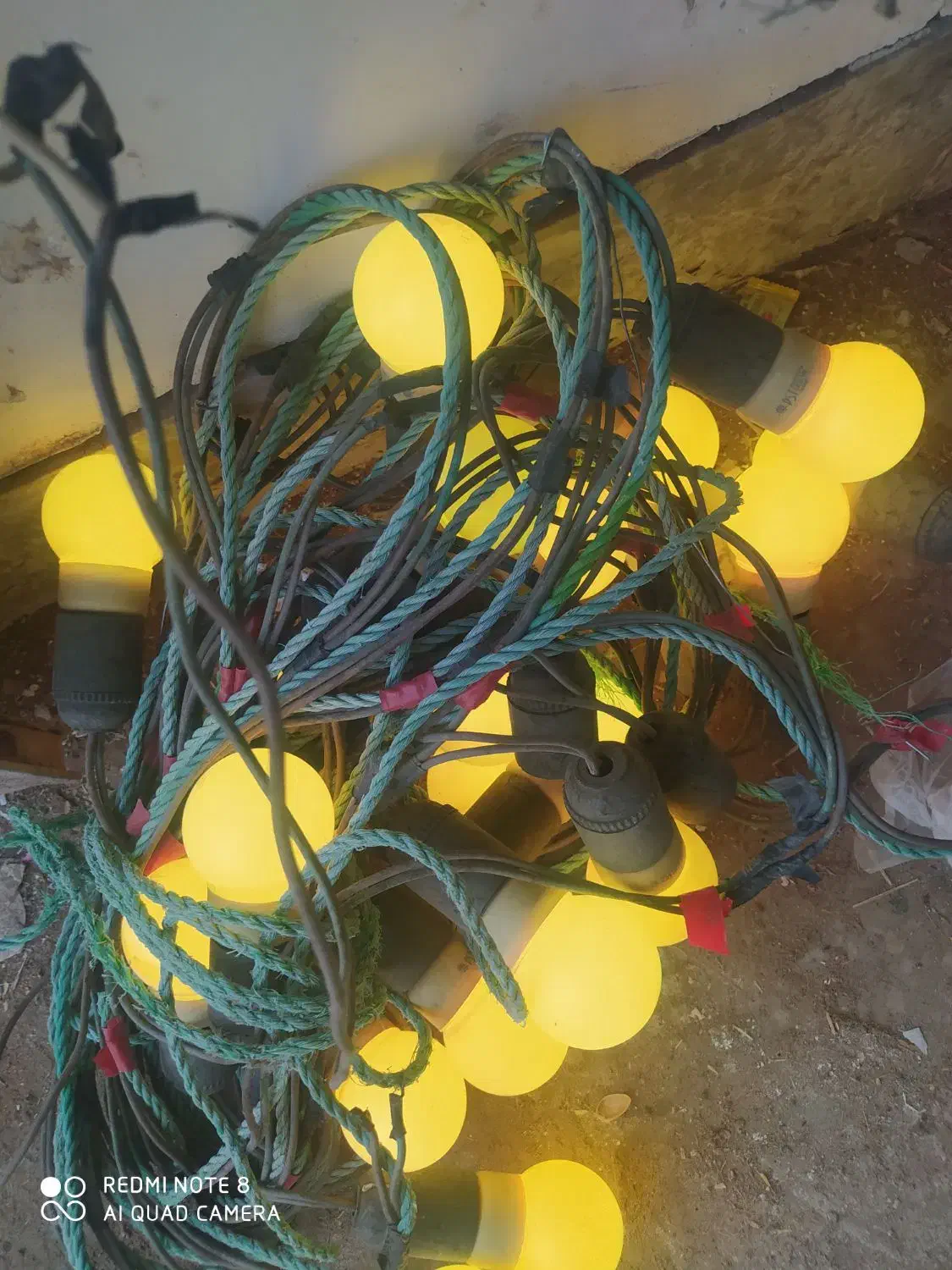 ریسه و چراغ جشن|ریسه و چراغ تزئینی|یزد, |دیوار