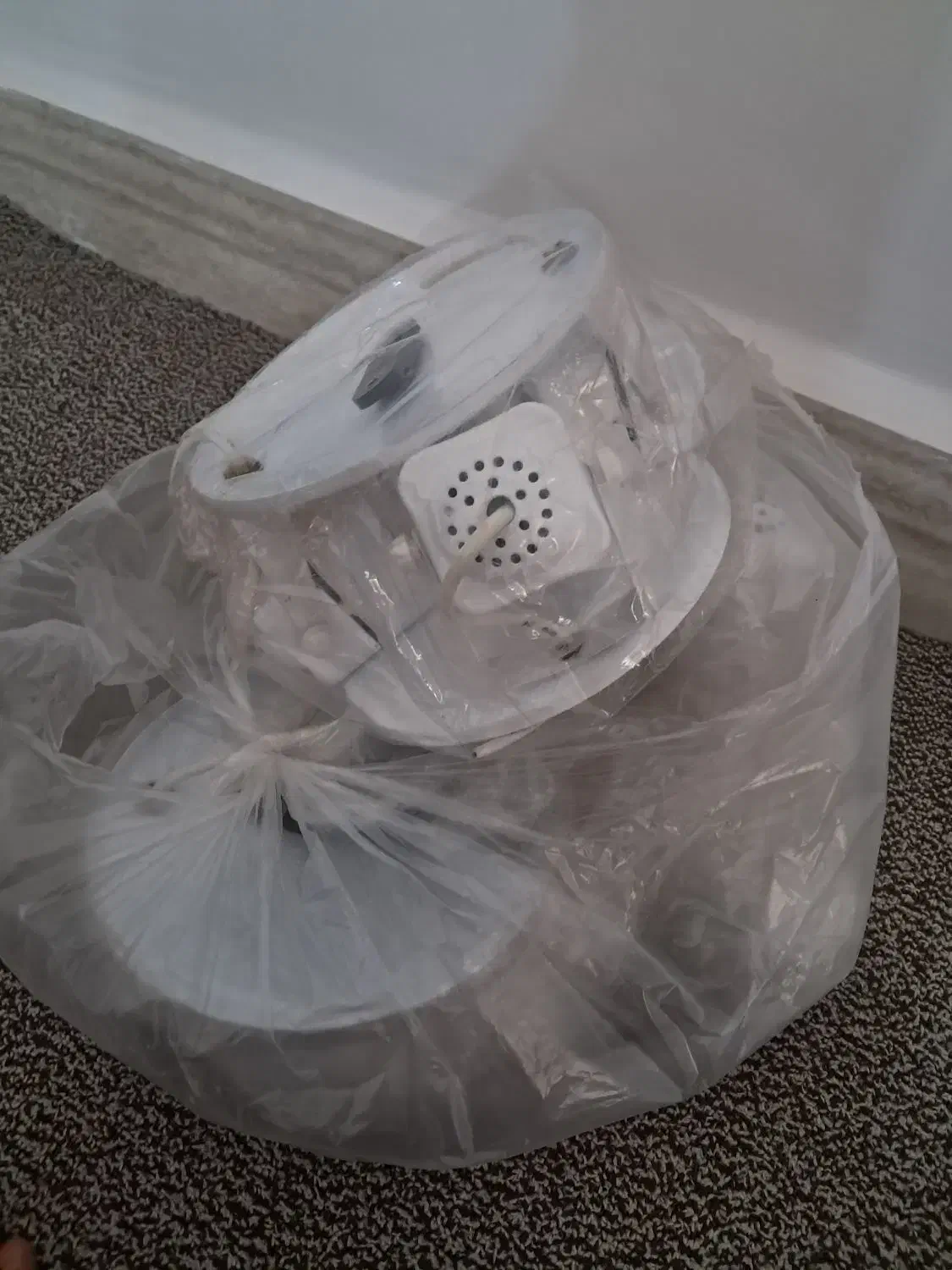 لامپ سقفی|لامپ و چراغ|اندیمشک, |دیوار