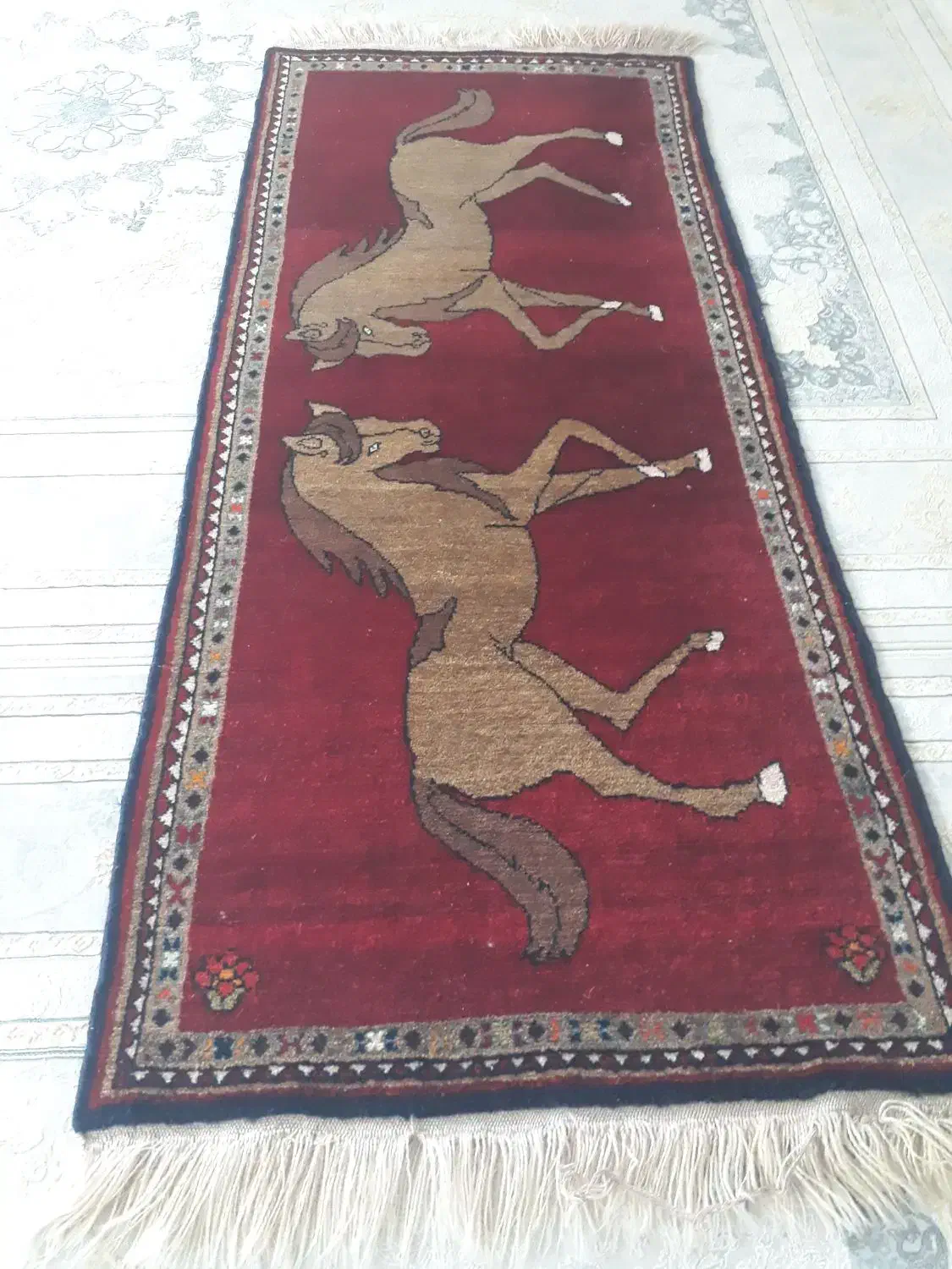 فرش دستبافت پشم در پشم|فرش|رامسر, |دیوار