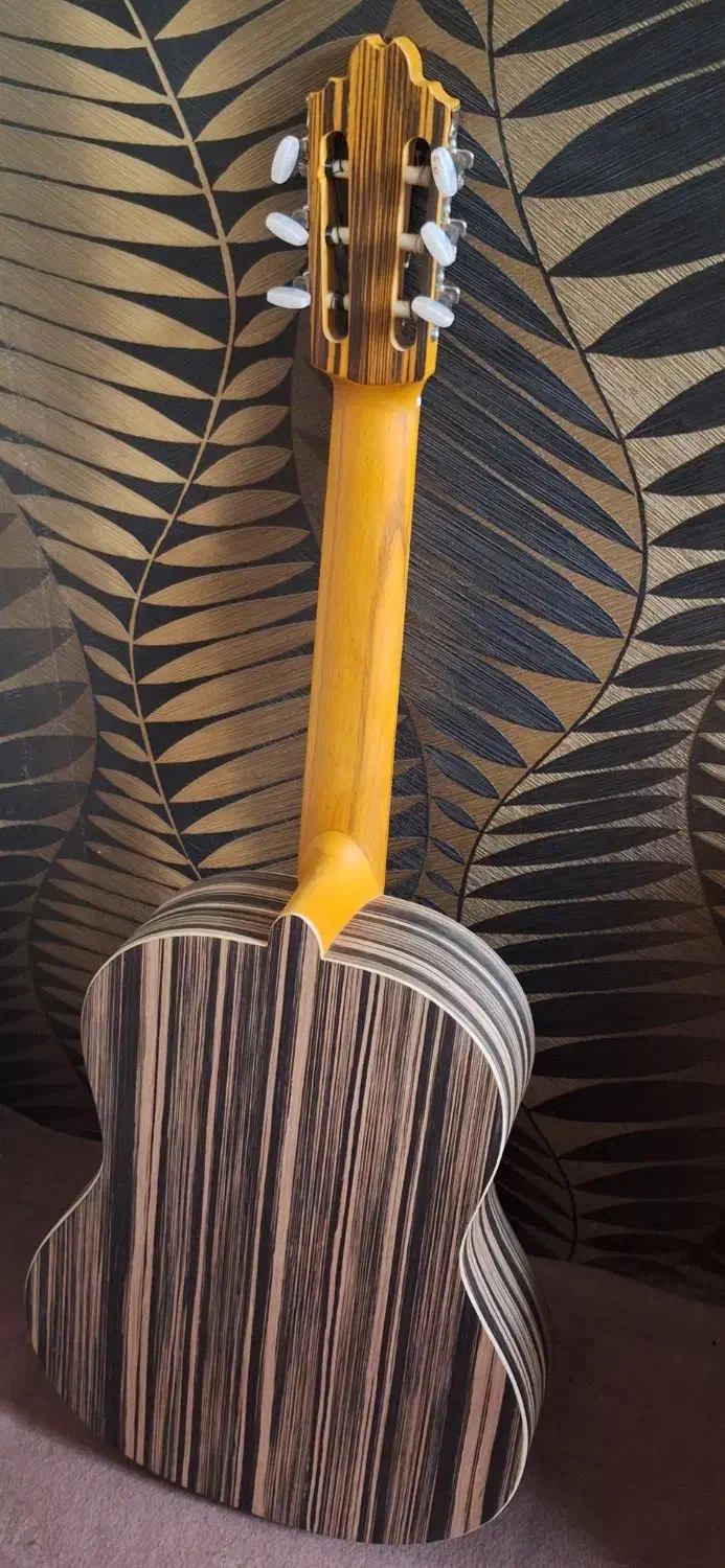 گیتار همراه با کیف|گیتار، بیس، امپلیفایر|ری, بیبی شهر بانو|دیوار