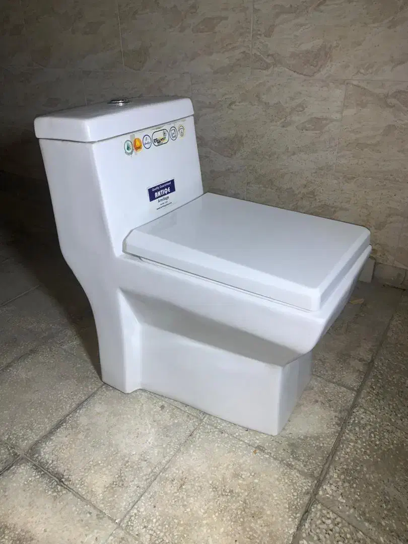 فرنگی صادراتی سوپر جت|لوازم سرویس بهداشتی|شیراز, چوگیاه‎|دیوار