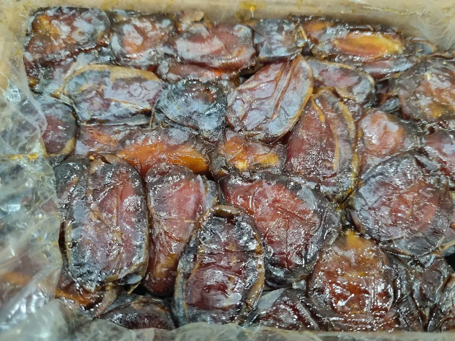 خرمای کباب پشتکوه|خوردنی و آشامیدنی|بوشهر, |دیوار